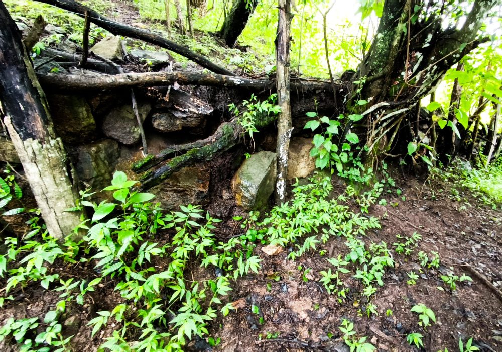 IMG_20240304_102232 (1)