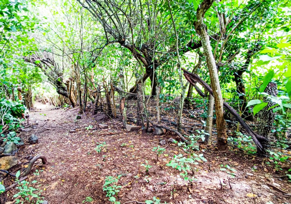 IMG_20240304_105931 (1)