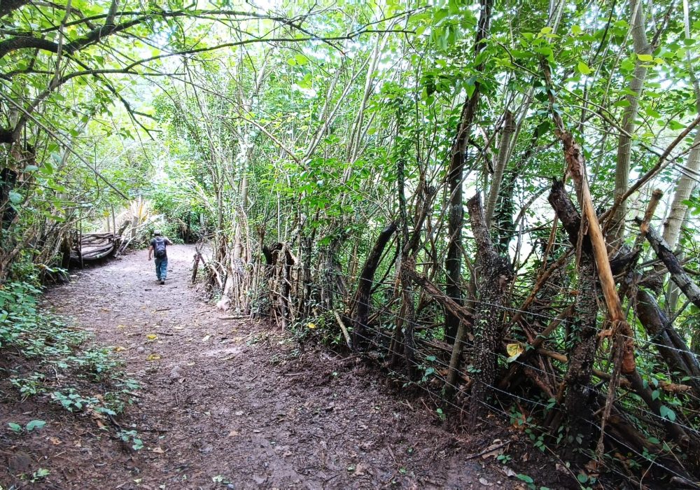 IMG_20240304_110041 (1)