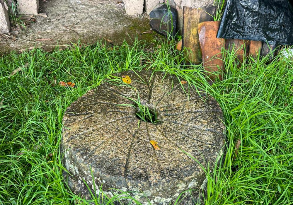 WhatsApp Image 2024-11-14 at 3.47.31 PM