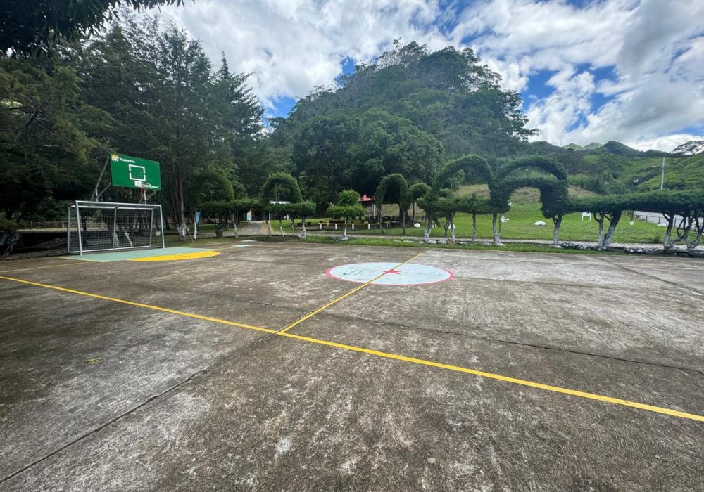 WhatsApp Image 2024-12-02 at 1.14.56 PM