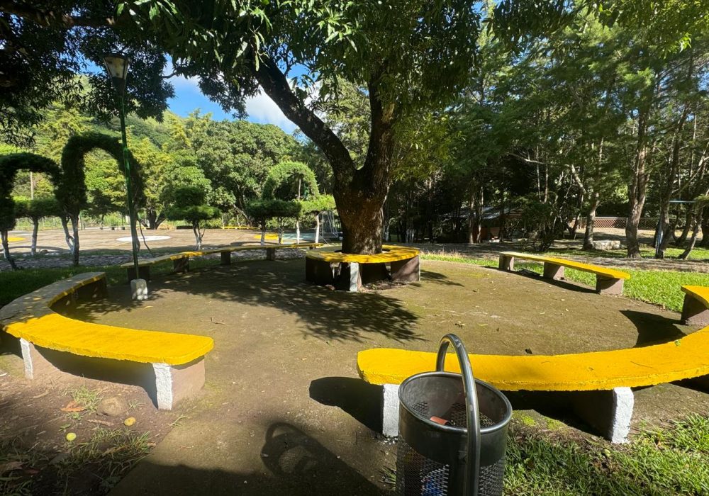 WhatsApp Image 2024-12-02 at 1.15.17 PM