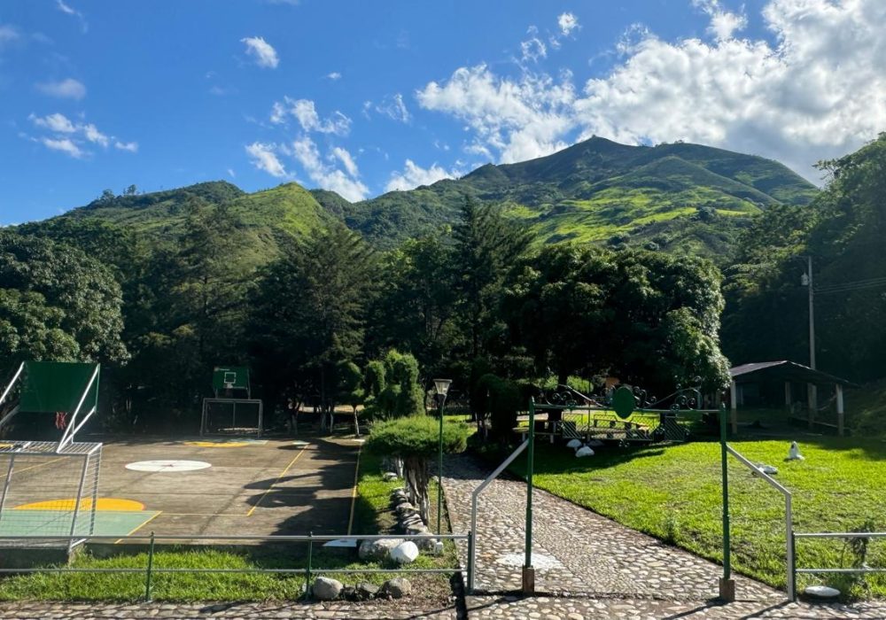 WhatsApp Image 2024-12-02 at 1.15.54 PM