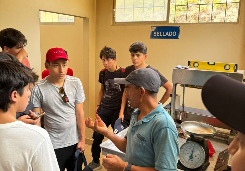 WhatsApp Image 2024-12-02 at 3.14.56 PM