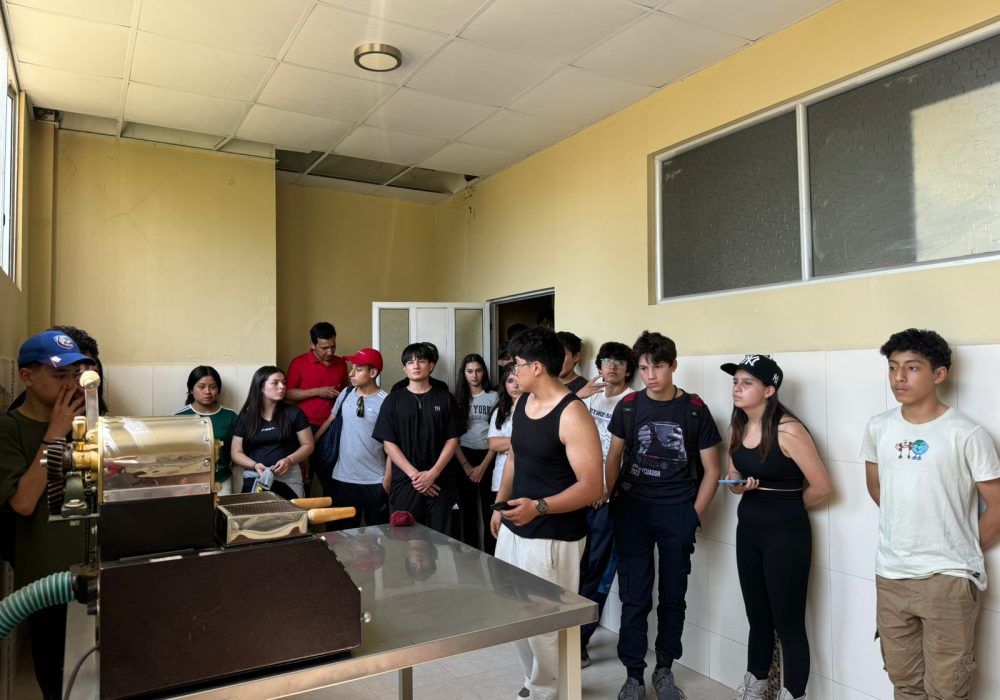 WhatsApp Image 2024-12-02 at 3.14.58 PM