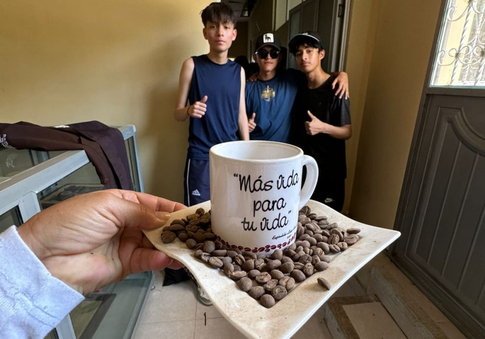 WhatsApp Image 2024-12-02 at 3.14.59 PM